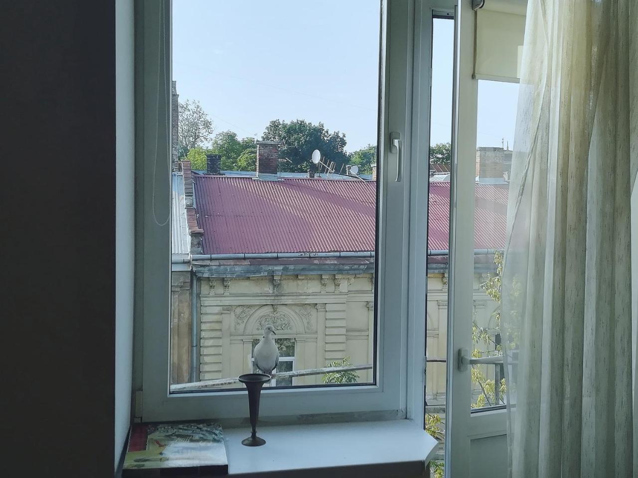 Valentine Apartment Lviv Exteriör bild